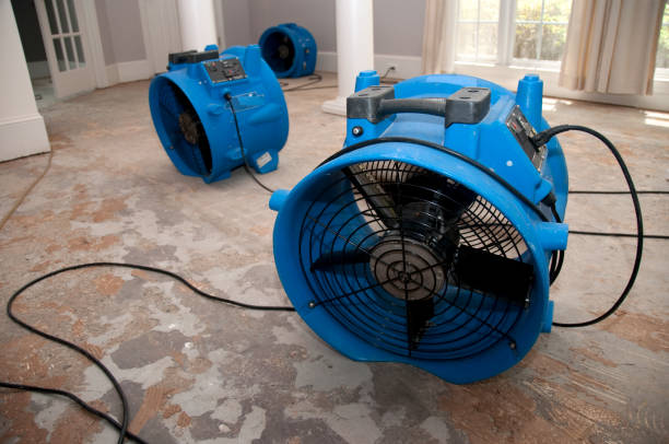 Best Carpet water damage restoration  in Pearl River, MS