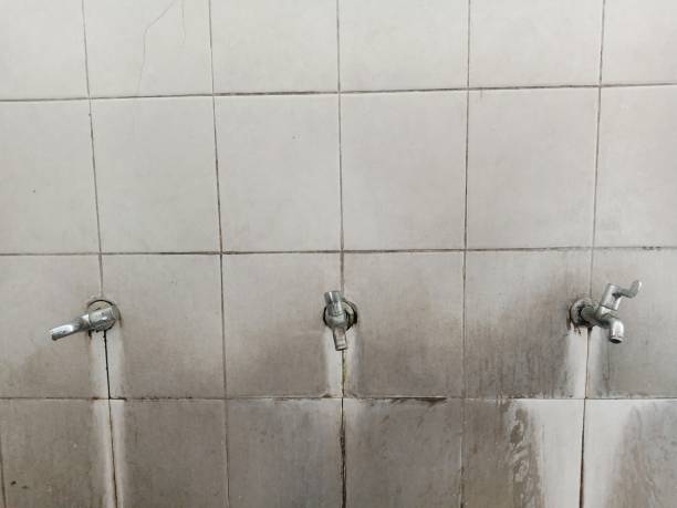 Best Water damage restoration cost  in Pearl River, MS